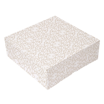 Caixa Nano-Micro Branco sem Janela 280x280x100mm 2x50 un