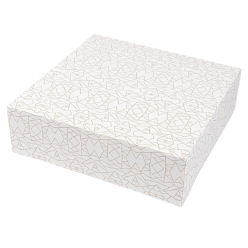 Caixa Nano-Micro Branco sem Janela 320x320x100mm 2x50 un