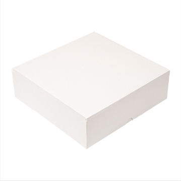 Caixa Nano-Micro Branco sem Janela 230x230x75mm 50 un