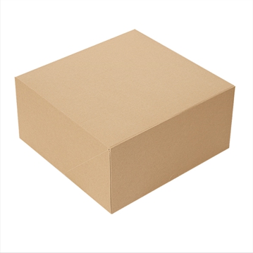 Caixa Nano-Micro Castanho sem Janela 170x140x115mm 50 un
