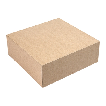 Caixa Nano-Micro Castanho sem Janela 360x360x100mm 50 un