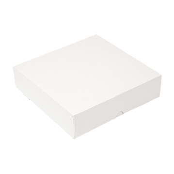Caixa Nano-Micro Branco sem Janela 200x200x50mm 50 un