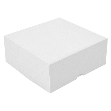 Caixa Nano-Micro Branco sem Janela 210x210x75mm 50 un