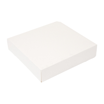 Caixa Nano-Micro Branco sem Janela 230x230x50mm 50 un