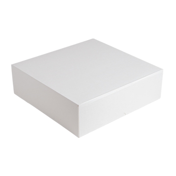 Caixa Nano-Micro Branco sem Janela 320x320x100mm 50 un