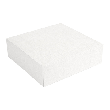 Caixa Nano-Micro Branco sem Janela 260x260x80mm 2x50 un