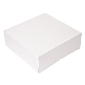 Caixa Nano-Micro Branco sem Janela 280x280x100mm 50 un