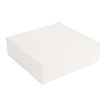 Caixa Nano-Micro Branco sem Janela 300x300x80mm 50 un