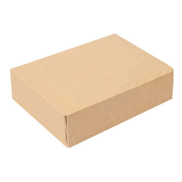 Caixa Rectangular sem Janela Nano-Micro 197x120x45mm 8x50un