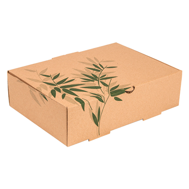 Caixa Microcanelado Castanho para Take-Away 260x180x70mm 100 un