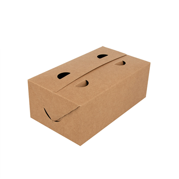Caixa Cartolina Castanho para Take-Away 110x180x70mm 250 un