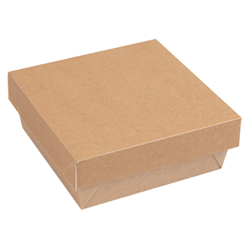 Embalagem Estanque + Tampa com janela separada 120x120x50mm 10x25un