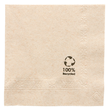 Guardanapo Papel Tissue Ecolgico 200x200mm 2 Folhas 48x100un