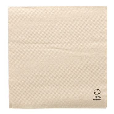 Guardanapo Papel Tissue Ecolgico 330x330mm 1 Folha 30x100un
