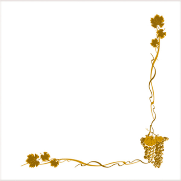 Double Point Paper Napkin 400x400mm Bacchus 24x50 pcs