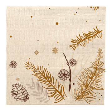 Double Point Paper Napkin 400x400mm Winter 24x50 pcs