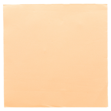 Double Point Paper Napkin 390x390mm 1/4 Ivory 24x50 pcs