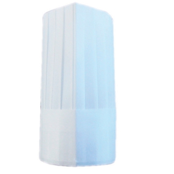 Chapu Clssico em Non-woven 31cm 10un