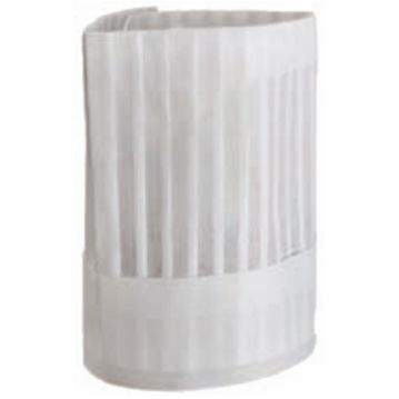 Chapu Clssico em Non-woven 26cm 10un