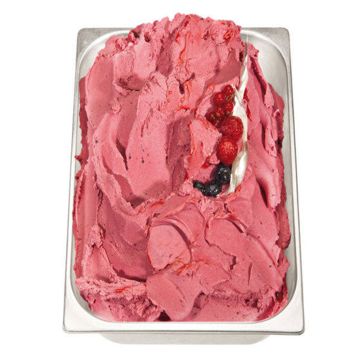 Base Totalbase Receitra Standard para Gelado de Fruta